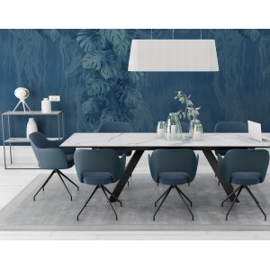 GRANDE TABLE: céramique, bois, verre.. (durable et de qualité) indoor ou outdoor
