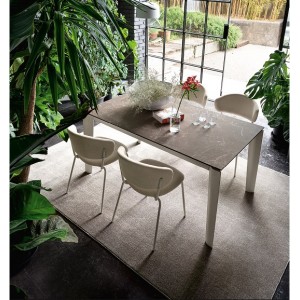 table rectangulaire avec allonge 10 personnes